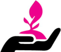 Business growth icon